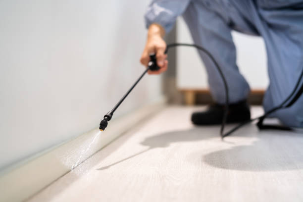 Licensed Termite Control service in Eustis, FL - Nex Pest Control