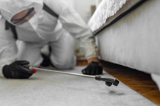 Professional Termite Control technician working in Eustis, FL