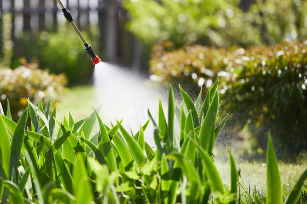 24/7 Emergency Termite Control experts in Eustis, FL