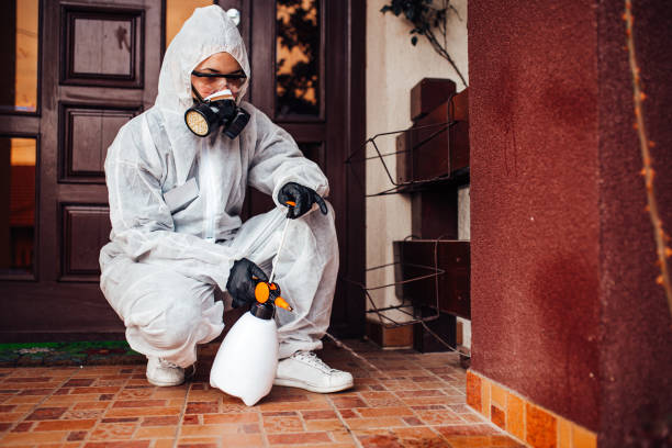 Reliable Termite Control contractor in Eustis, FL by Nex Pest Control